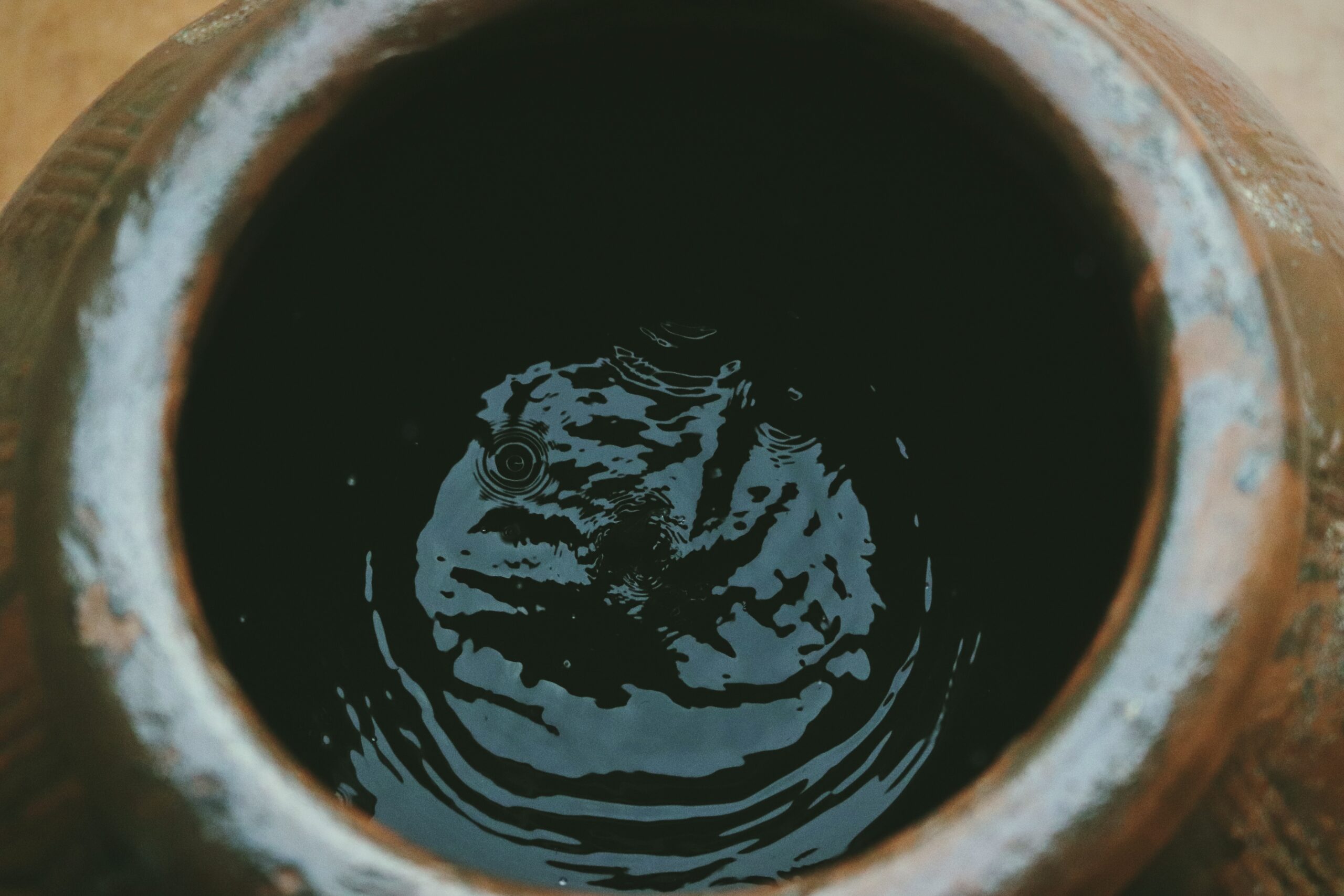 Best water barrel