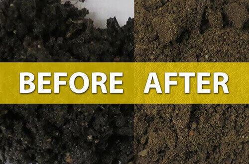 bioremediation