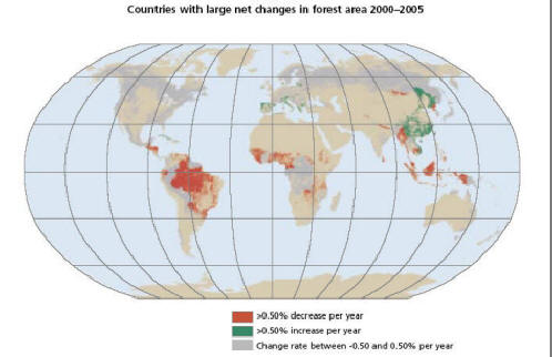 world map of changes in forest area