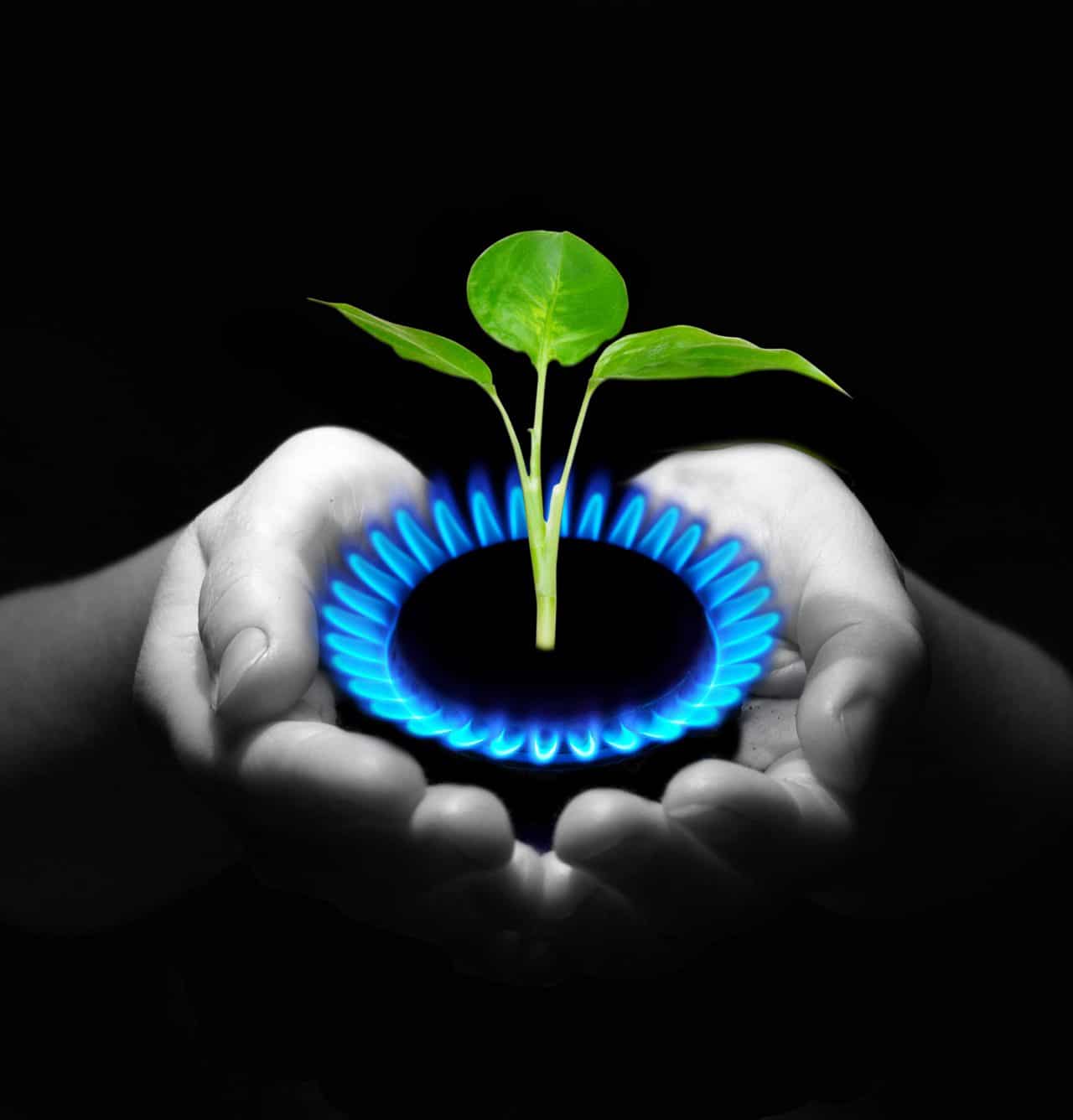 Hands holding a flame gas