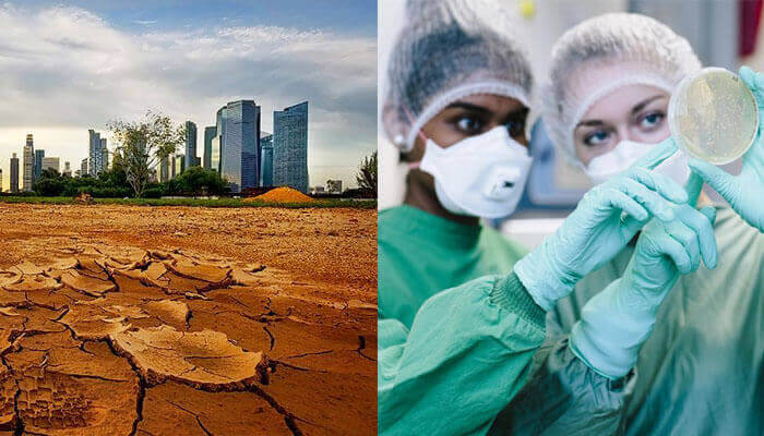 effects of soil pollution