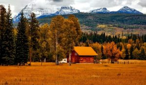 Homesteading