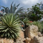 nature-desert-rocks-stones