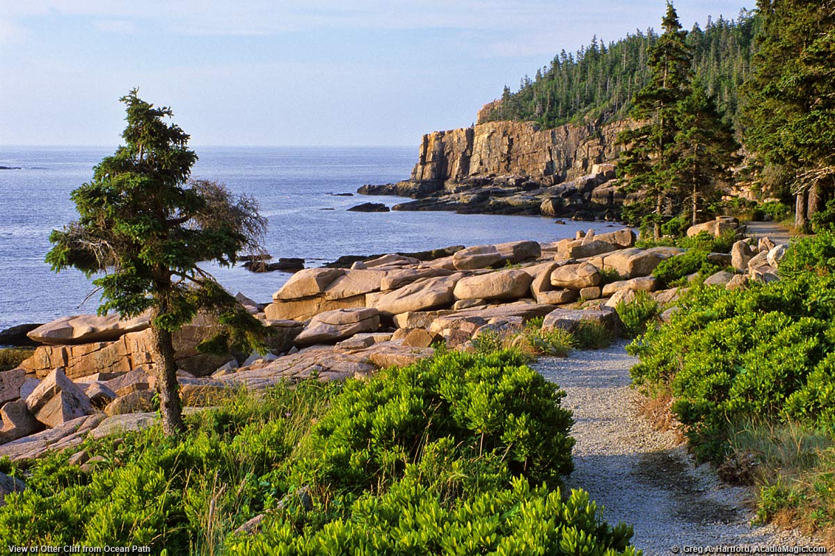 otter cliff acadia national park