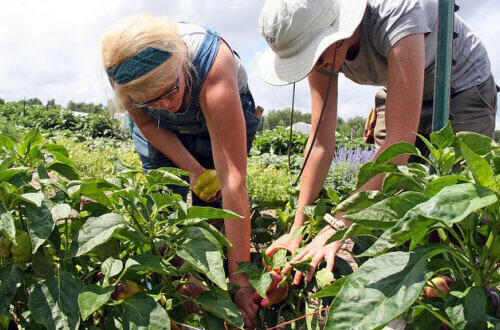 proper farming practices