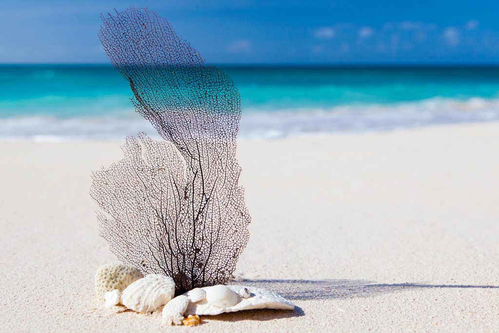 Reef-Safe Sunscreen